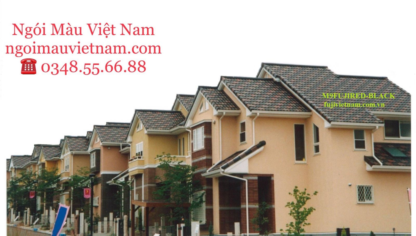 https://www.ngoimauvietnam.com/admin/
